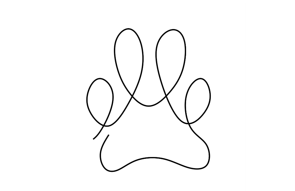 Sacred Animal Communication