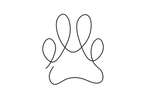 Sacred Animal Communication