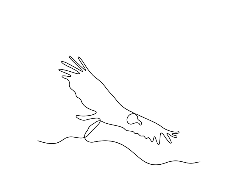 An Eagle Named Freedom