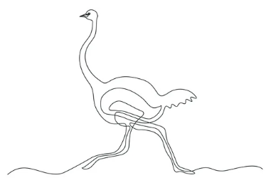 Fluffy Duck & The Sad Ostrich