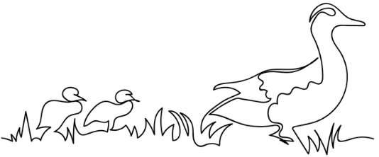 Fluffy Duck & The Black Hole